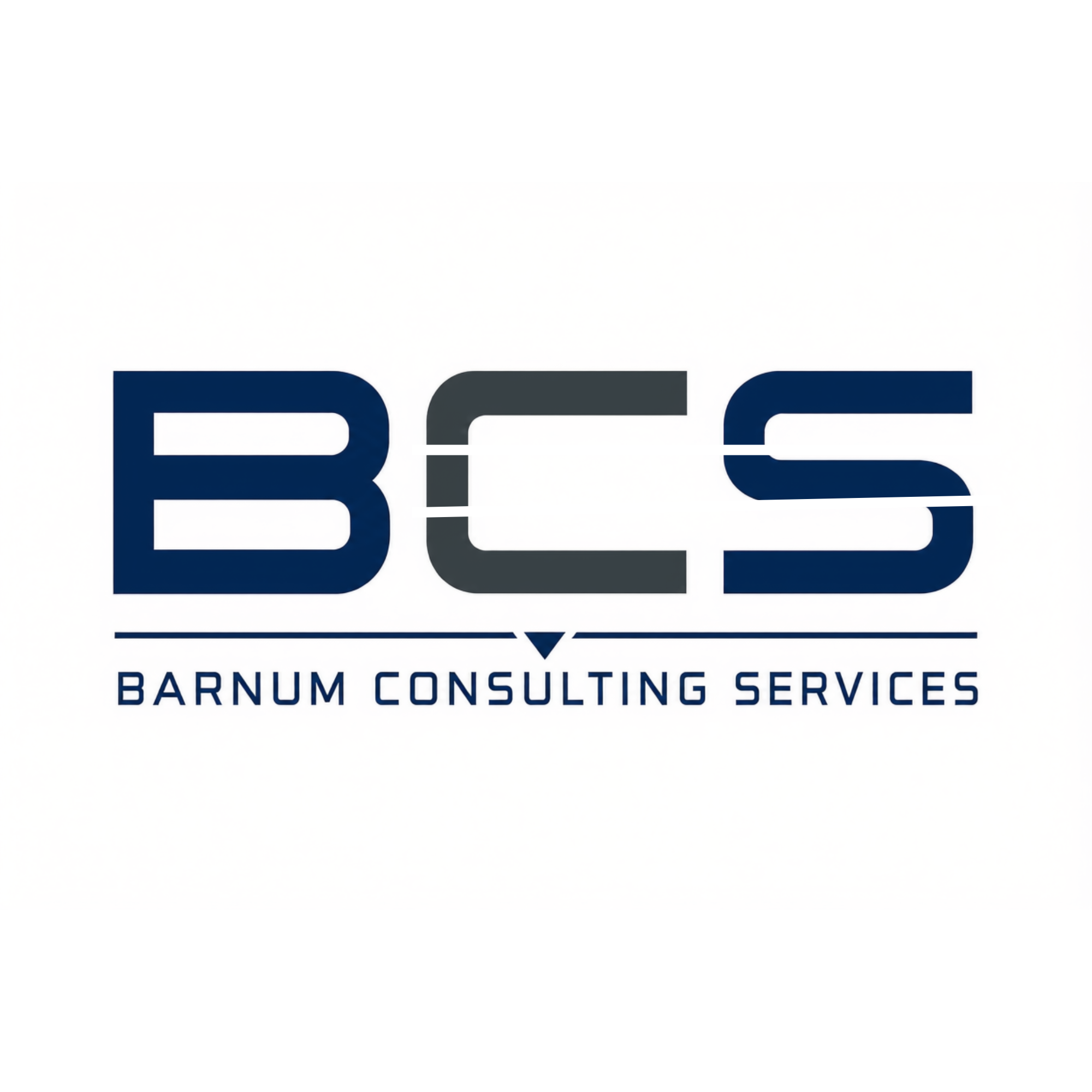 Barnum Consulting Services LLC